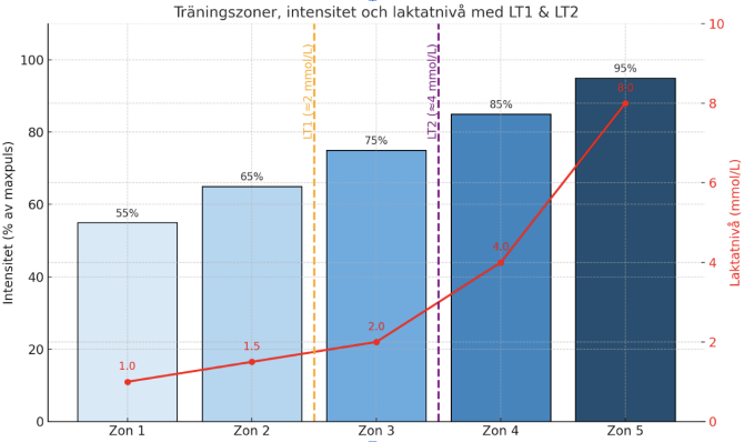 Graf som visualiserar våra två fysiologiska trösklar vid zon-träning.