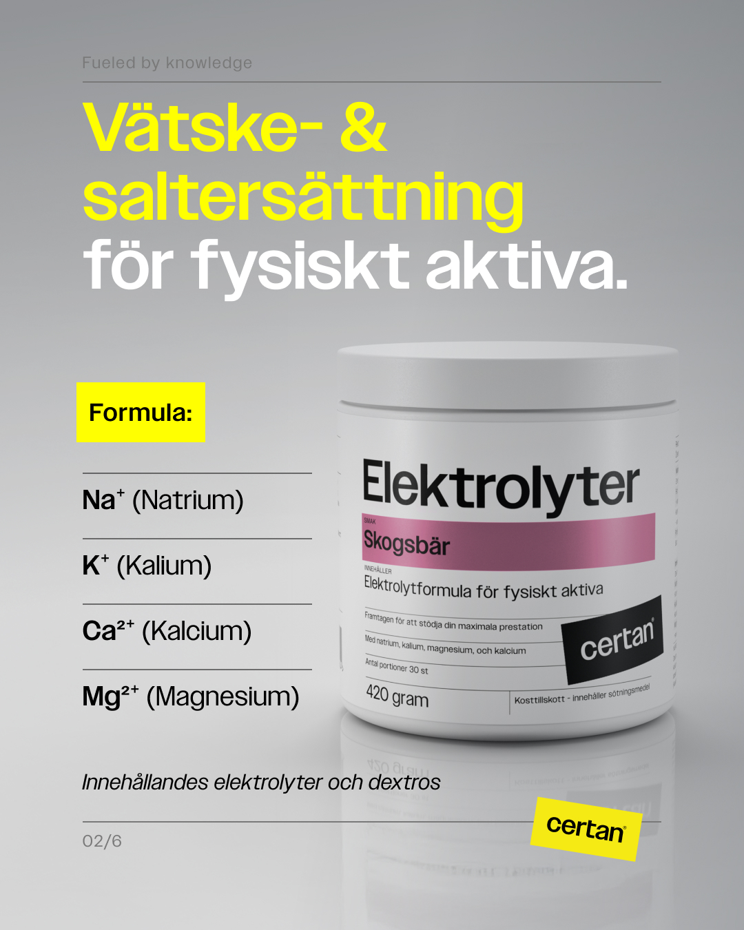 Elektrolyter Skogsbär - Bild 2