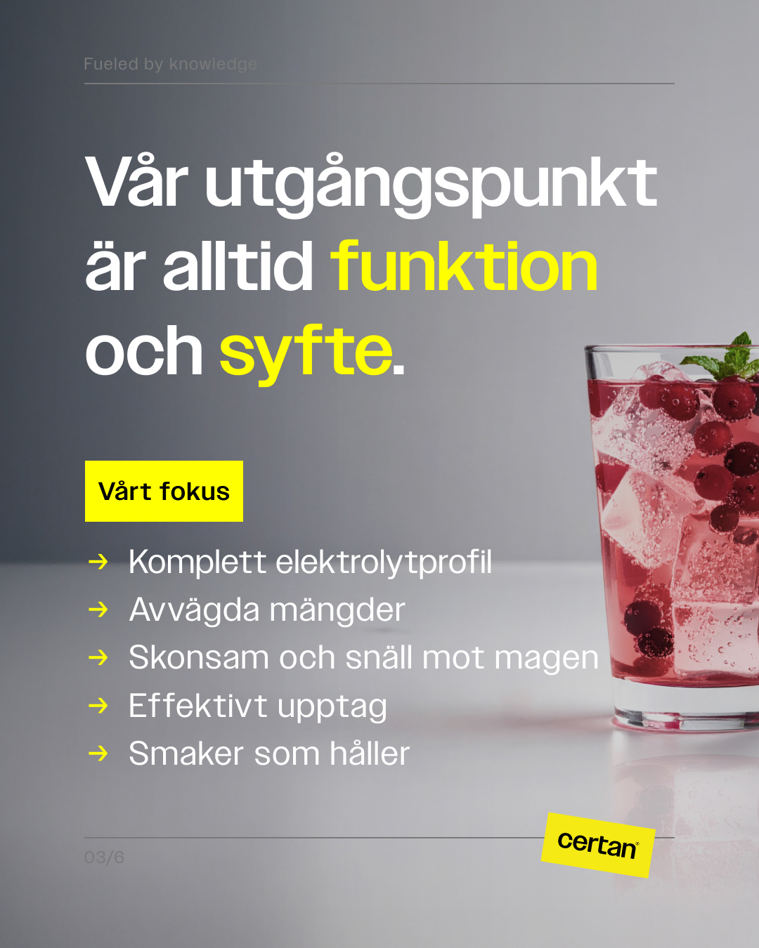 Elektrolyter Skogsbär - Bild 3